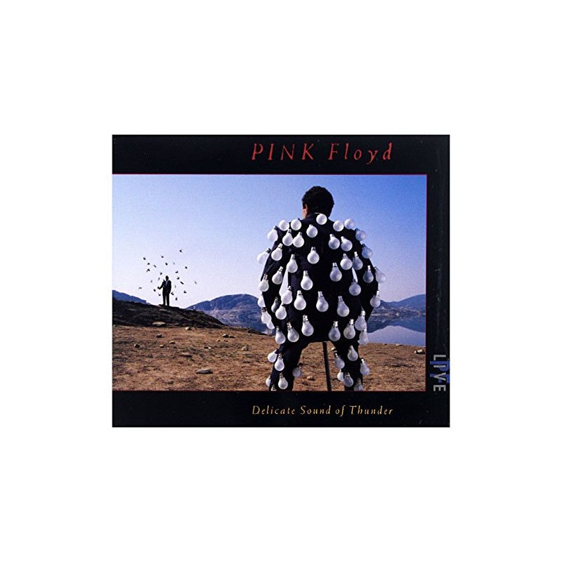 Delicate Sound of Thunder