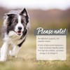 AniForte Green Lipped Mussel for Dogs and Cats 250g Powder