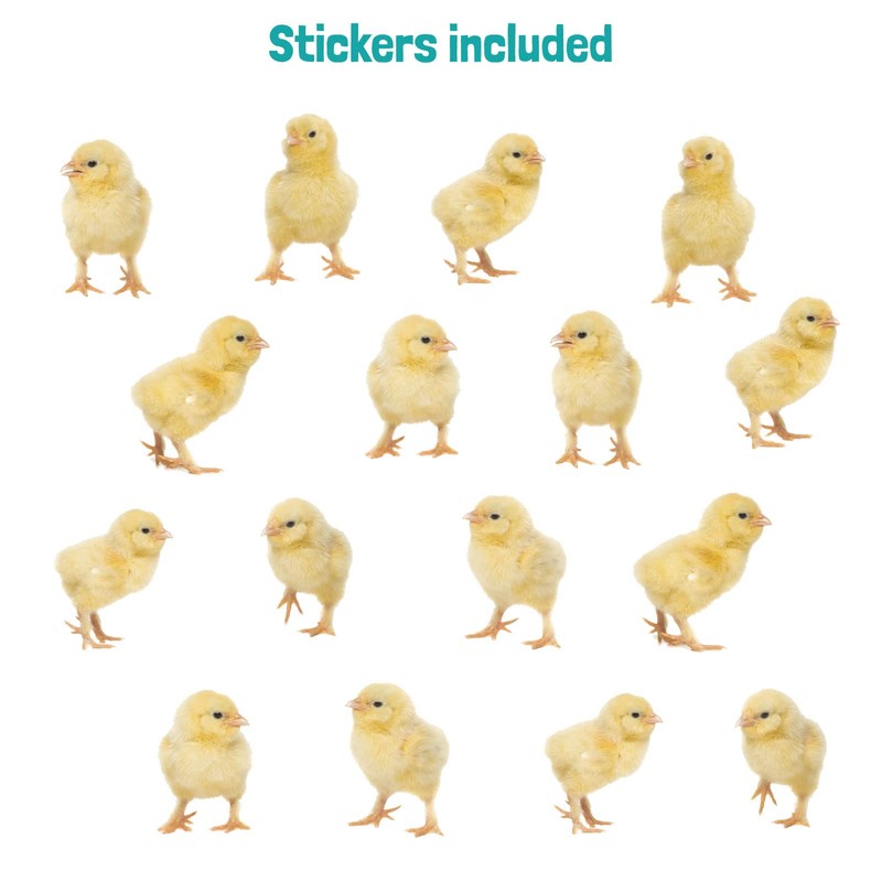 Stickerscape Easter Window Stickers (Little Chicks) | Easter Window Decal,