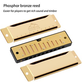 EastRock Blues Harmonica Mouth Organ 10 Hole C Key with Case, Diatonic Harmonica for Professional Player, Beginner, Students gifts, Adult, Friends, Gift (Gold)