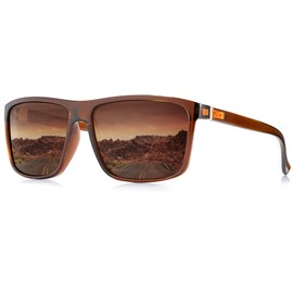 ANYLUV Polarised Sunglasses Men Women Outdoor Sunglasses Unisex Retro Black Glasses UV400 Driving Hiking Golf, B06 Brown/Brown