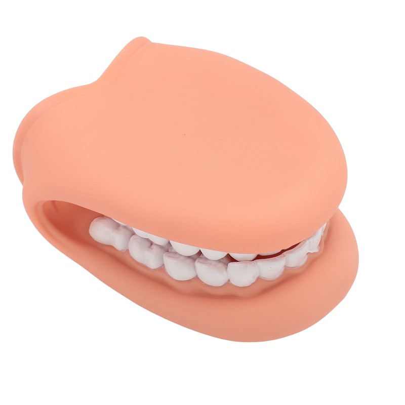 Mouth Puppet with Tongue 28 Teeth Silicone Speech Therapy Demonstration