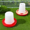 Garneck Garneck 1 Set Quail Feeder Chick Feeder Quail Waterer