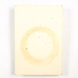 Coleman New Coleman 242-3231 Burner Cap and Screen for 242 243 200 201 202 Lanterns