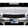 Vanity Aluminum Front License Plate (Blue and White Floral)