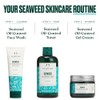 The Body Shop Seaweed Gel Cream, For Oily and Combination
