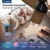 Amico Ceiling Fans with Lights, 30 inch Low Profile Ceiling