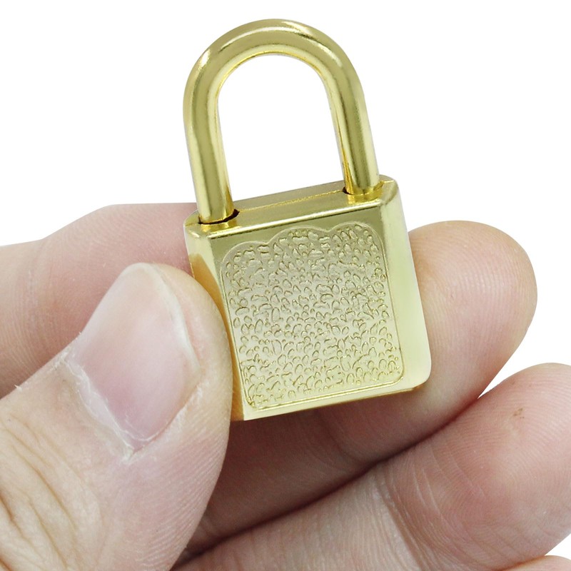 Litoexpe 10 Pcs Mini Cute Diary Padlock Tiny Small Luggage