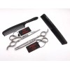 EVOLVING Tijeras Silver Con Peines Al Carbon Barbero Estilista Evo