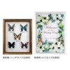 APJ Box Frame A4 Pastel Pink 000018080