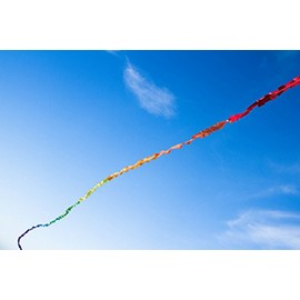 HQ Kites and Designs Fuzzy Tail 20 m Adult Unisex, Multicoloured, 20 Months