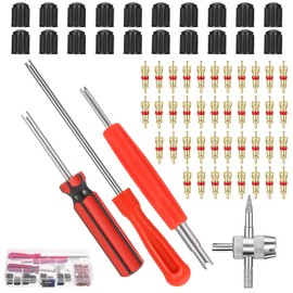 FANTESI 64 pieces valve core repair tool, 3 pieces car bike valve extractor valve key, 1 piece 4-way valve core tool, 20 pieces valve caps bicycle, 40 pieces valve core