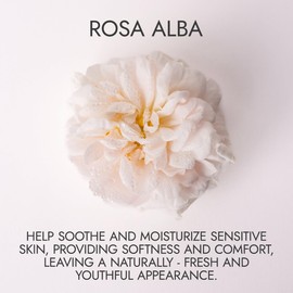 L'Oréal Paris UV-Schutz-Stick, fleckenabweisend, für alle Hauttypen, reduzierte Flecken und Haut vor UV-Strahlen geschützt, unsichtbares Finish, mit LSF 50+ und Vitamin E, Bright Reveal, 9 g