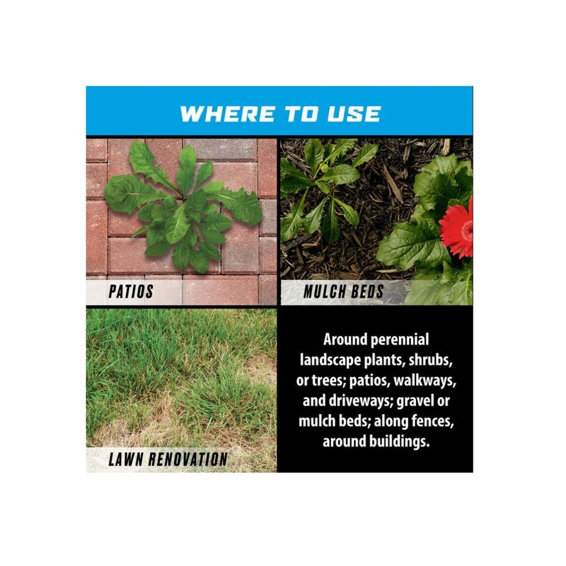 Groundclear Ortho Super Weed & Grass Killer, 24oz