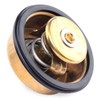 RIDEX Thermostat + Gasket