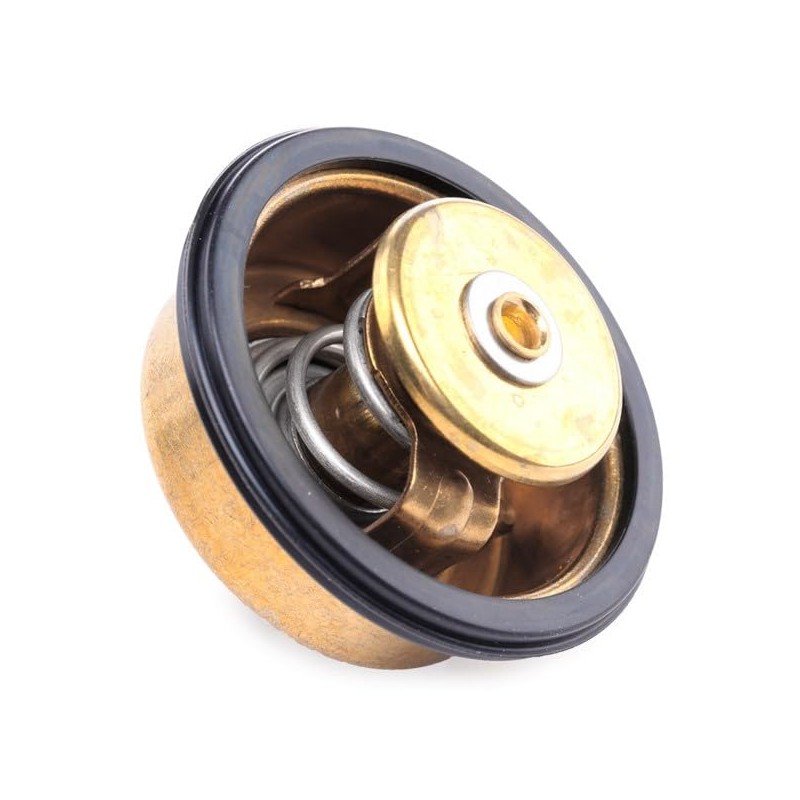 RIDEX Thermostat + Gasket