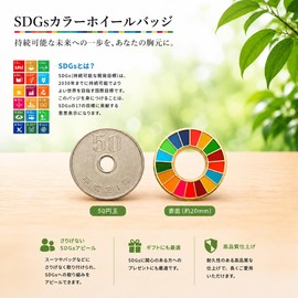 SDGs Badge (Diameter 20mm Small) Pin Badge SDGs SDGs Pin Batch United Nations Latest Specification Badge Lapel Pin Golden Golden Simulated Cloisonné Finish, Magnet