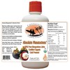 Absolute Mangosteen - Pure Organic Mangosteen Juice from CAOH® (1-32