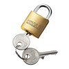 Sanwa Supply SLE-2LMN e-Security (Master Key Compatible Padlock, Small)