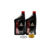 1999-2005 Honda Sportrax 400 TRX400EX EX 2x4 OEM Oil Change