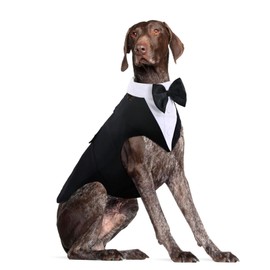 Dora Bridal Dog Suit for Wedding, Pet Business Suit, Fashion Bow Tie Suit, Formal Tuxedo with Black Bowtie, Dog Supplies, XXL (Color: Black)