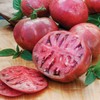 Bonnie Plants Cherokee Purple Tomato Live Vegetable Plants - 4