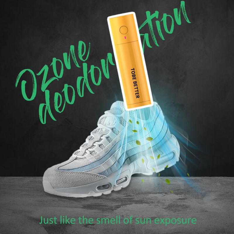 DUNGGLE Shoe Deodorizer Rechargeable Ozone Tech Eliminates Odors in All