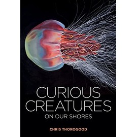 Curious Creatures on Our Shores