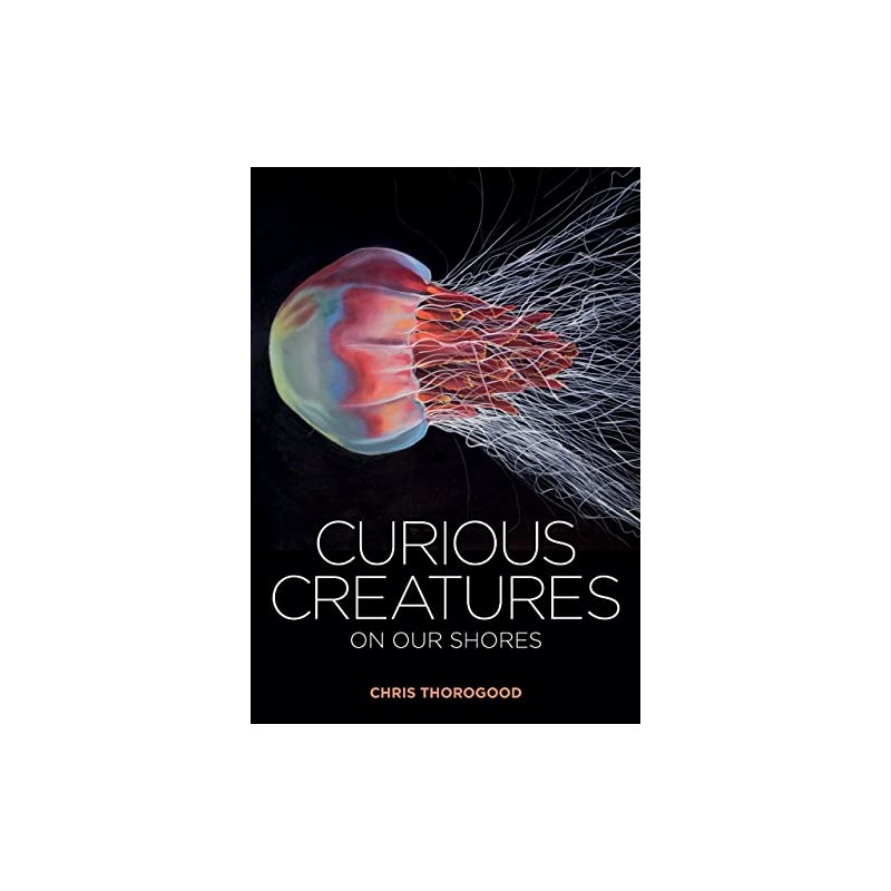 Curious Creatures on Our Shores