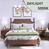 evelor A19 LED Light Bulbs,60 Watt Equivalent Daylight 5000K with