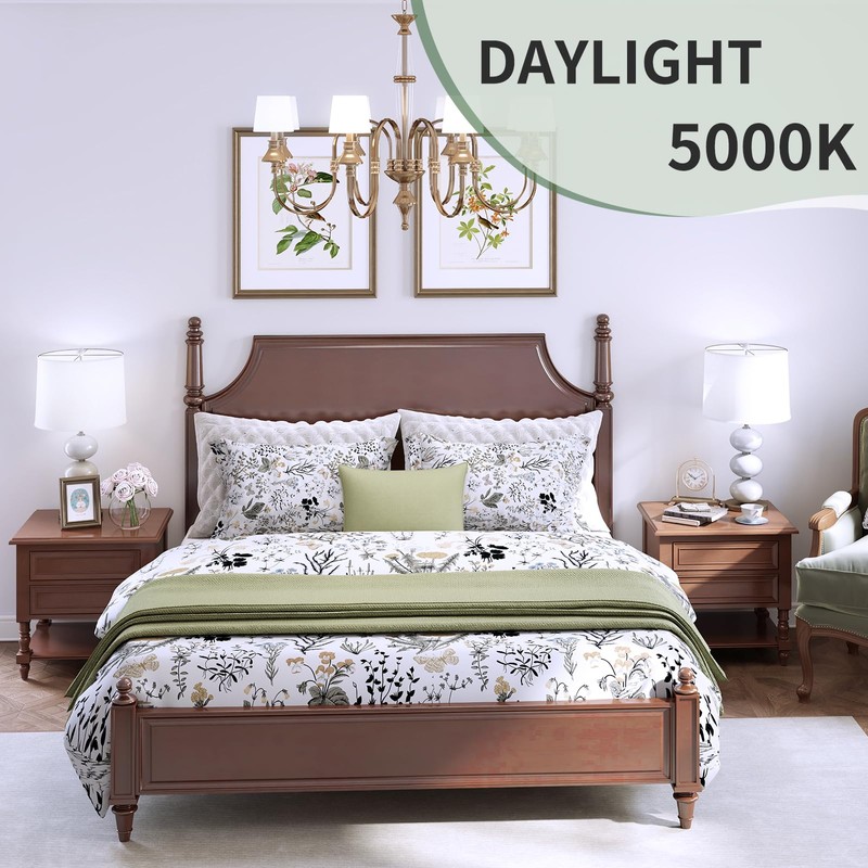 evelor A19 LED Light Bulbs,60 Watt Equivalent Daylight 5000K with