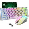 Wireless Gaming Keyboard and Mouse Combo with 87 Key Rainbow