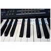 Plum Rose Removable Piano Keyboard Note Labels - Piano Keyboard