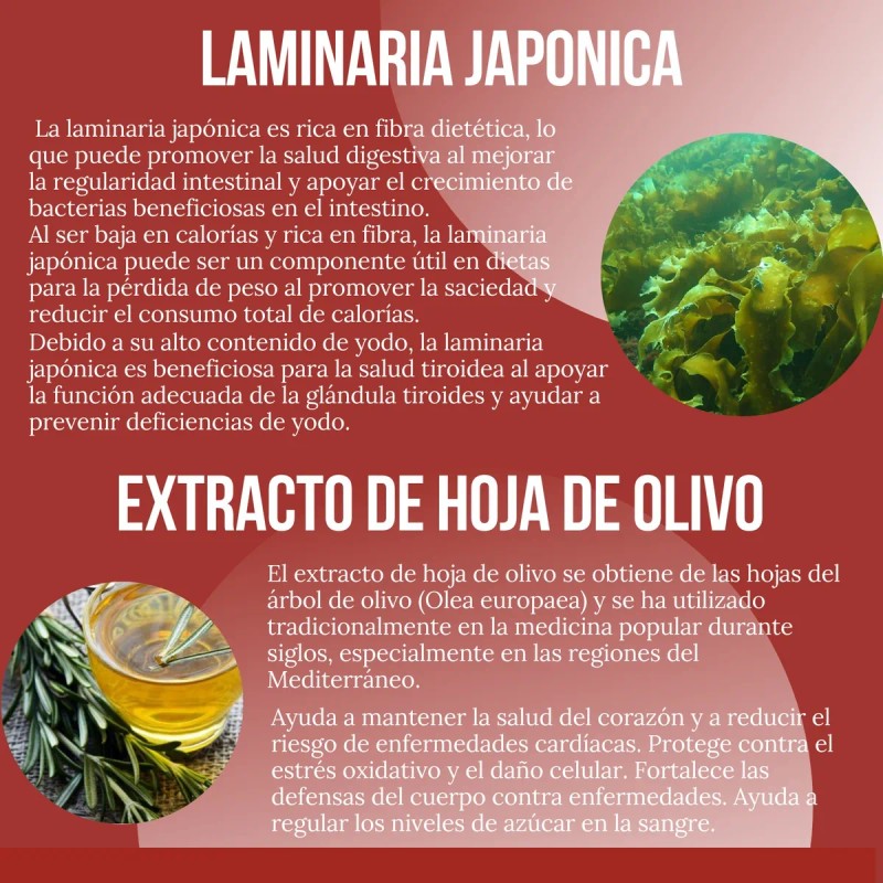 Suplemento Reductor Abdominal 90 Cpsulas Activos Naturales Sin Sabor