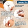 6pcs Clear Beach Bag Organizer with 4 Pack Insert Hooks