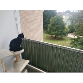 JUMXSRLE Cat Netting, Cat Balcony Net, Cat Balcony Fence for Pets, Cat Net Anti-Fall, Transparent Nylon Pet Mesh Fence for Cat, Cat Safety Net for Balcony/Stairs -6x3m(20x10ft)