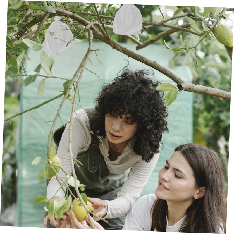 BESPORTBLE 100pcs Eco-Friendly Biodegradable Plant Grow Bags Fruit Mesh Bags