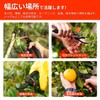 IRONCUBE 8" Professional Premium Titanium Bypass Pruning Shears, Hand Crafted