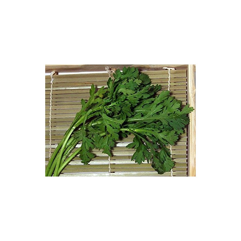Shungiku Seeds - Edible Chrysanthemum - Green - Liliana's Garden
