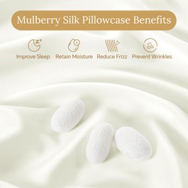 INFIIXSO Mulberry Silk Pillowcase for Hair and Skin, Silk Pillow Cases Standard Size Set of 2 with Hidden Zipper 20"x26", Ultra Smooth and Soft Cooling Pillow Cases for Hot Sleepers(Cream,2 Pack)