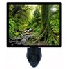 Night Light, Tropical Jungle, Trees, Forest, Green Moss, Landscape LED