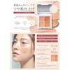 SUIKO Makeup Base Palette 5.6g Soap Remover Stains Dark Bear