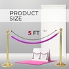 4 PCS Pink Purple Velvet Rope - 5 Ft Barrier