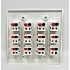 RiteAV 12 Port Speaker Jack Dual Gang Wall Plate for