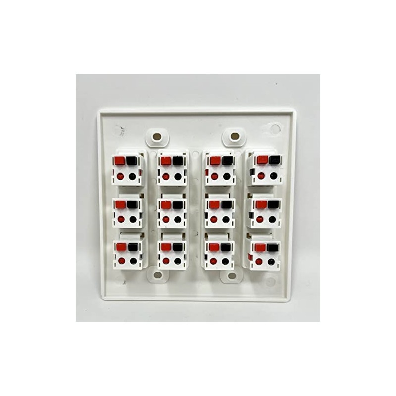 RiteAV 12 Port Speaker Jack Dual Gang Wall Plate for