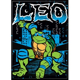 Ata-Boy Teenage Mutant Ninja Turtle Leo City 2.5 X 3.5 Inch Magnet for Lockers and Refrigerators