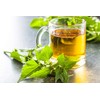 Nettle Tea - 8Oz (REAL WILD HARVEST) | 100% USDA