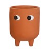 Brown and Ginger Side Eyes Round Terracotta Planter (Large -