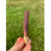 Dragon's Blood Dipped Palo Santo Stick by New Moon Beginnings