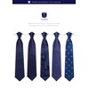 HISDERN T5-01 Men's Necktie Set of 5, 8.5cm Width, Brand